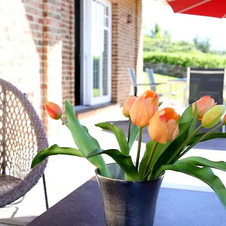 Strandhaus Buskam Im Moenchgut Auf Ruegen *